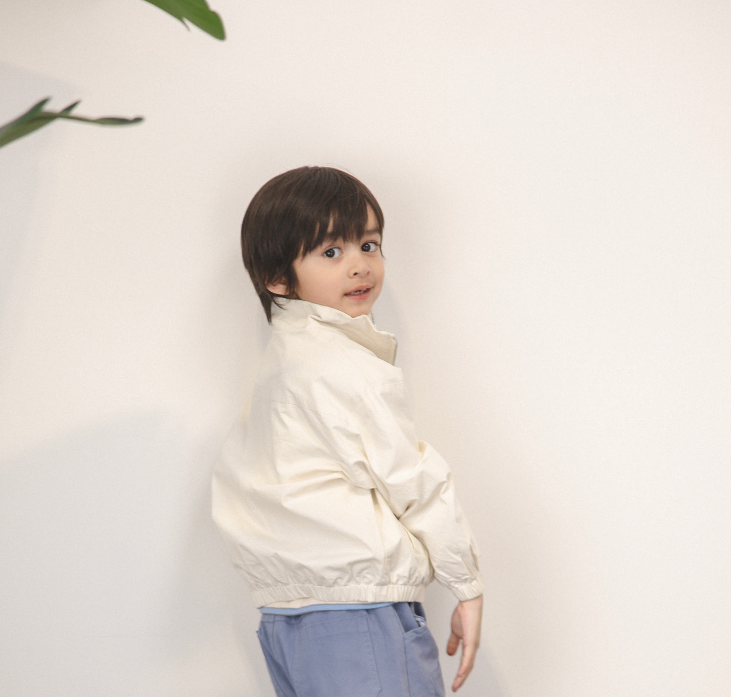 Casual Breeze Jacket