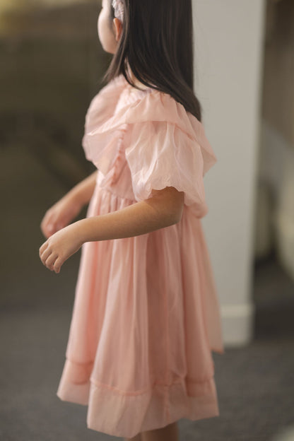 Blush Princess Party Dress