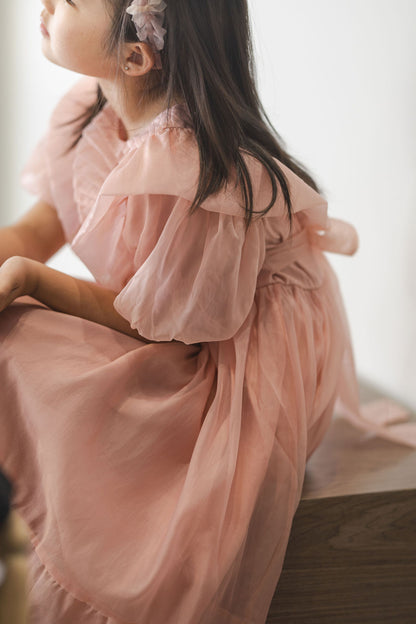 Blush Princess Party Dress