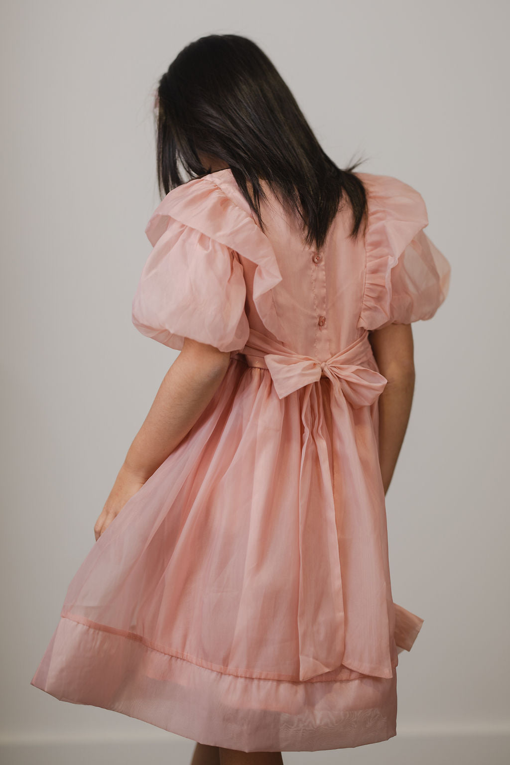 Blush Princess Party Dress