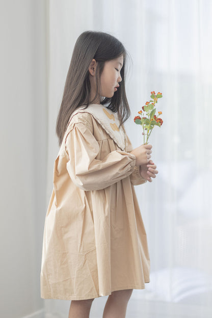 Convertible Collar Dress