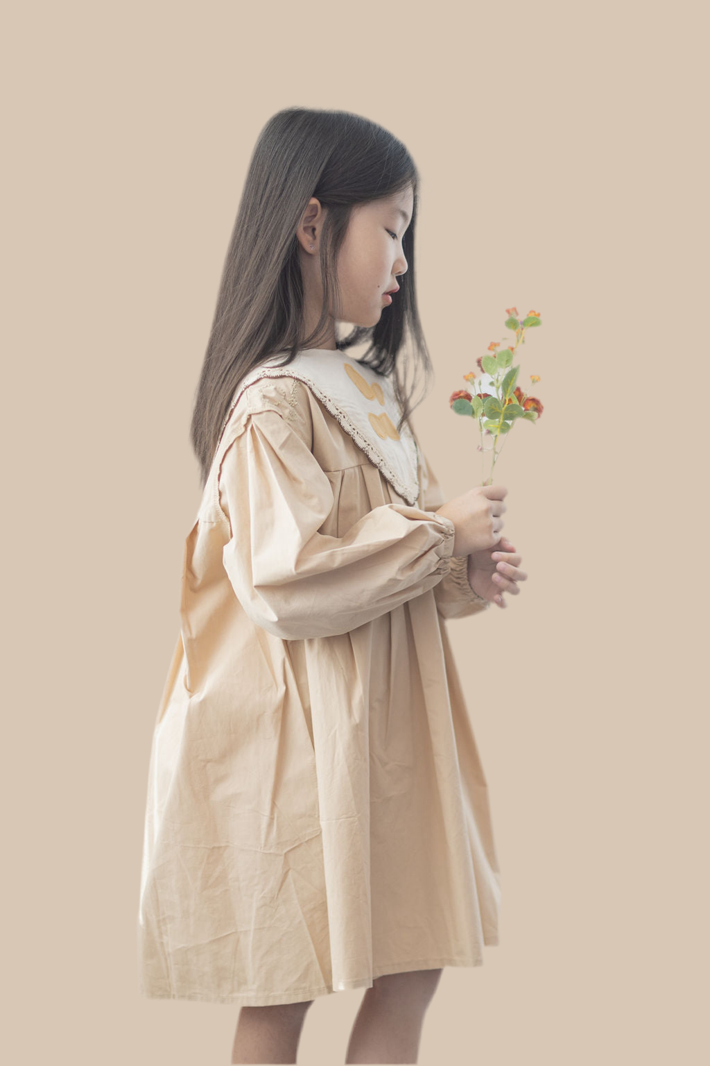 Convertible Collar Dress