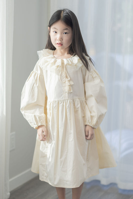 Lace Ruffled Collar Dress