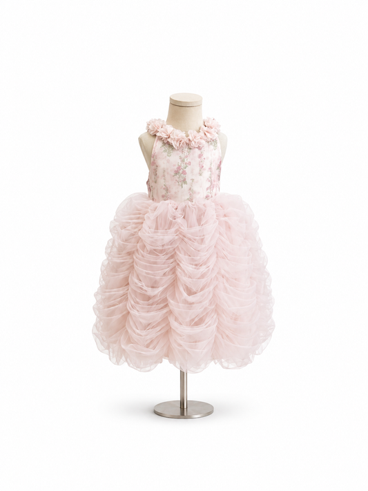 Rosy Whisper Party Dress