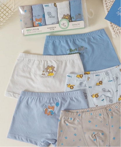 Boy Boxers